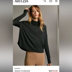 Aritzia babaton turtleneck